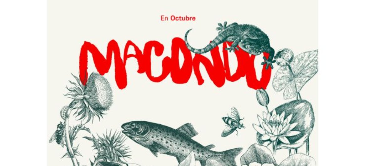 Vení con tu grupo a ver “Macondo”